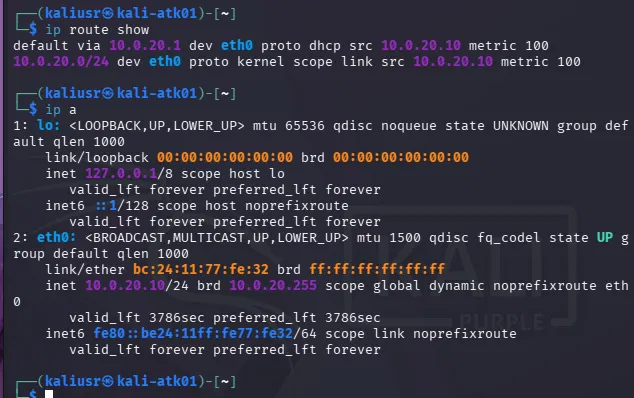Kali showing 10.0.20.10 after successful DHCP lease